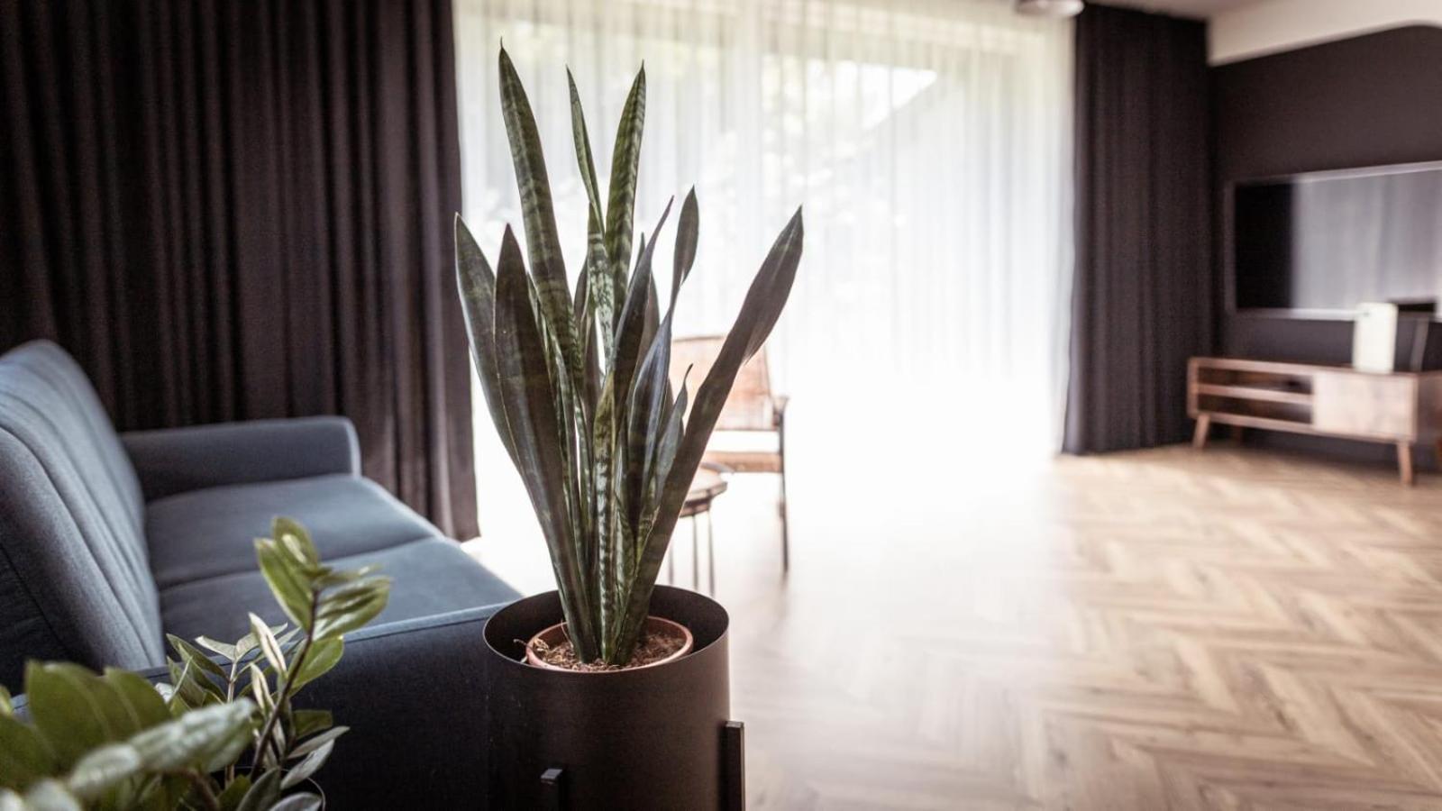 Apartments Abcd Biała Podlaska Extérieur photo