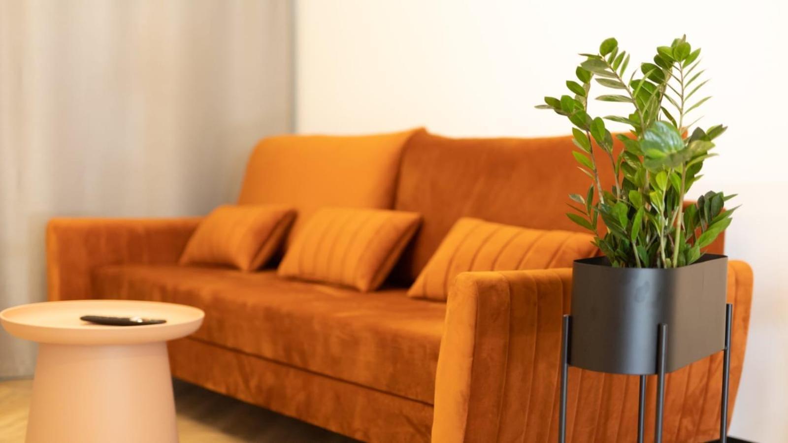 Apartments Abcd Biała Podlaska Extérieur photo